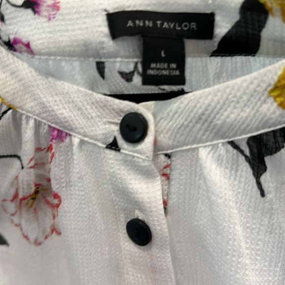 Like new Large Ann Taylor ivory sheer long sleeve blouse. 98% poly 2% spandex - Picture 3 of 9